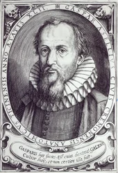 Gaspar Aselli
